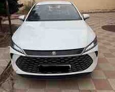 BYD Qin Plus, 2025 il