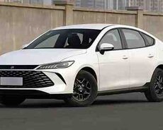 BYD Qin Plus, 2025 il