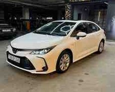 Toyota Corolla, 2025 il