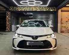 Toyota Corolla, 2025 il