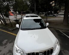 Toyota Prado, 2010 il