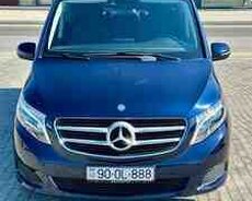 Mercedes Viano, 2016 il