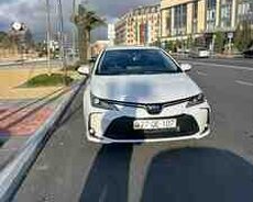 Toyota Corolla, 2024 il