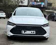 BYD Qin Plus, 2024 il