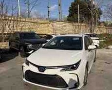 Toyota Corolla, 2023 il