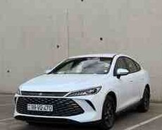 BYD Qin Plus, 2025 il