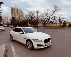 Jaguar XF, 2016 il