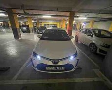 Toyota Corolla, 2025 il