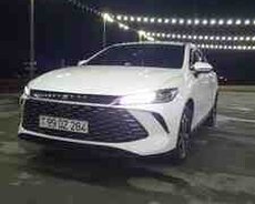 BYD Qin Plus, 2025 il