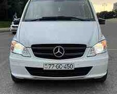 Mercedes Viano, 2006 il