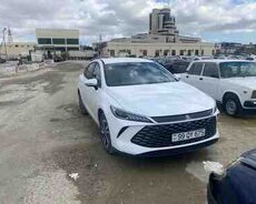 BYD Qin Plus, 2025 il