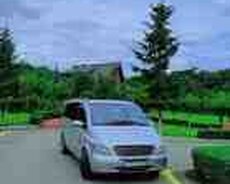 Mercedes Viano, 2006 il