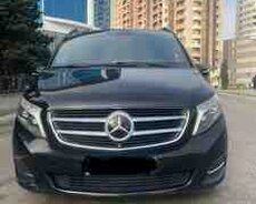 Mercedes Viano, 2014 il