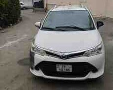 Toyota Corolla, 2015 il