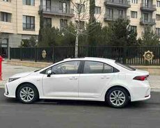 Toyota Corolla, 2025 il