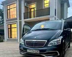 Mercedes Viano, 2006 il