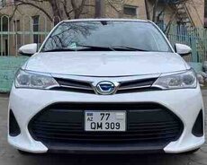 Toyota Corolla, 2019 il