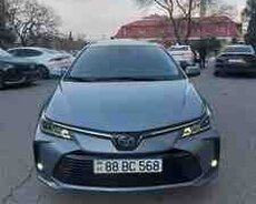 Toyota Corolla, 2023 il