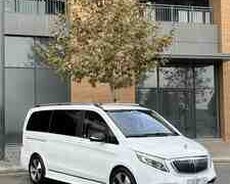 Mercedes Viano, 2014 il