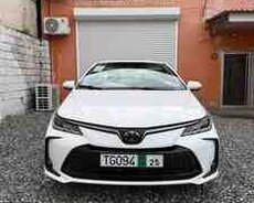 Toyota Corolla, 2025 il