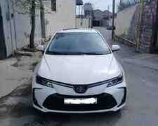 Toyota Corolla, 2024 il