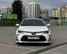 Toyota Corolla, 2024 il