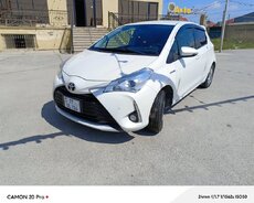 Toyota Vitz, 2019 il