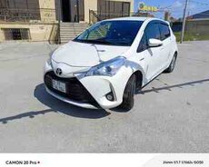 Toyota Vitz, 2019 il