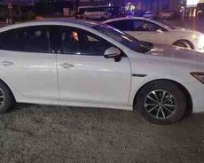 BYD Qin Plus, 2024 il