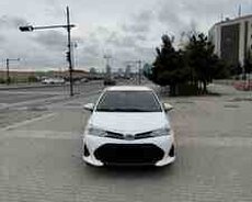 Toyota Corolla, 2019 il