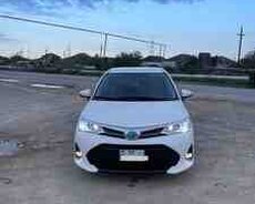 Toyota Corolla, 2018 il