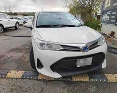 Toyota Corolla, 2019 il