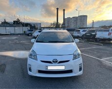 Toyota Prius, 2010 il