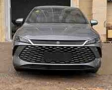 BYD Qin Plus, 2025 il