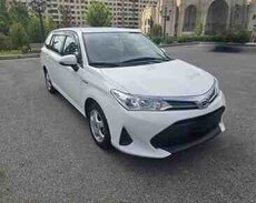 Toyota Corolla, 2019 il