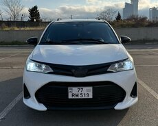 Toyota Carolla filder, 2018 il