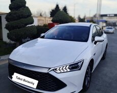 BYD Qin Plus, 2025 il