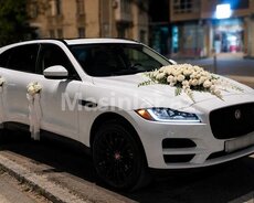Jaguar Jaguar bey gelin toy masini sifarisi, 2021 il