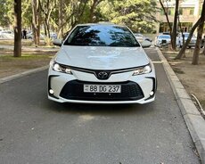 Toyota coralla, 2026 il