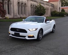Ford Mustang, 2016 il